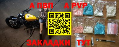 индика Гай