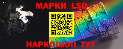 индика Гай