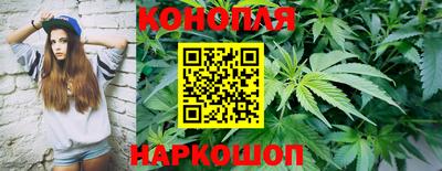 индика Гай
