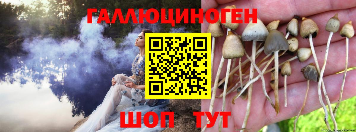 Электросталь  Галлюциногенные грибы Magic Shrooms  Вход с VPN 